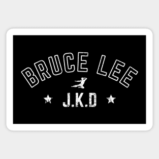 Jeet Kune Do Kick distressed 3 Sticker